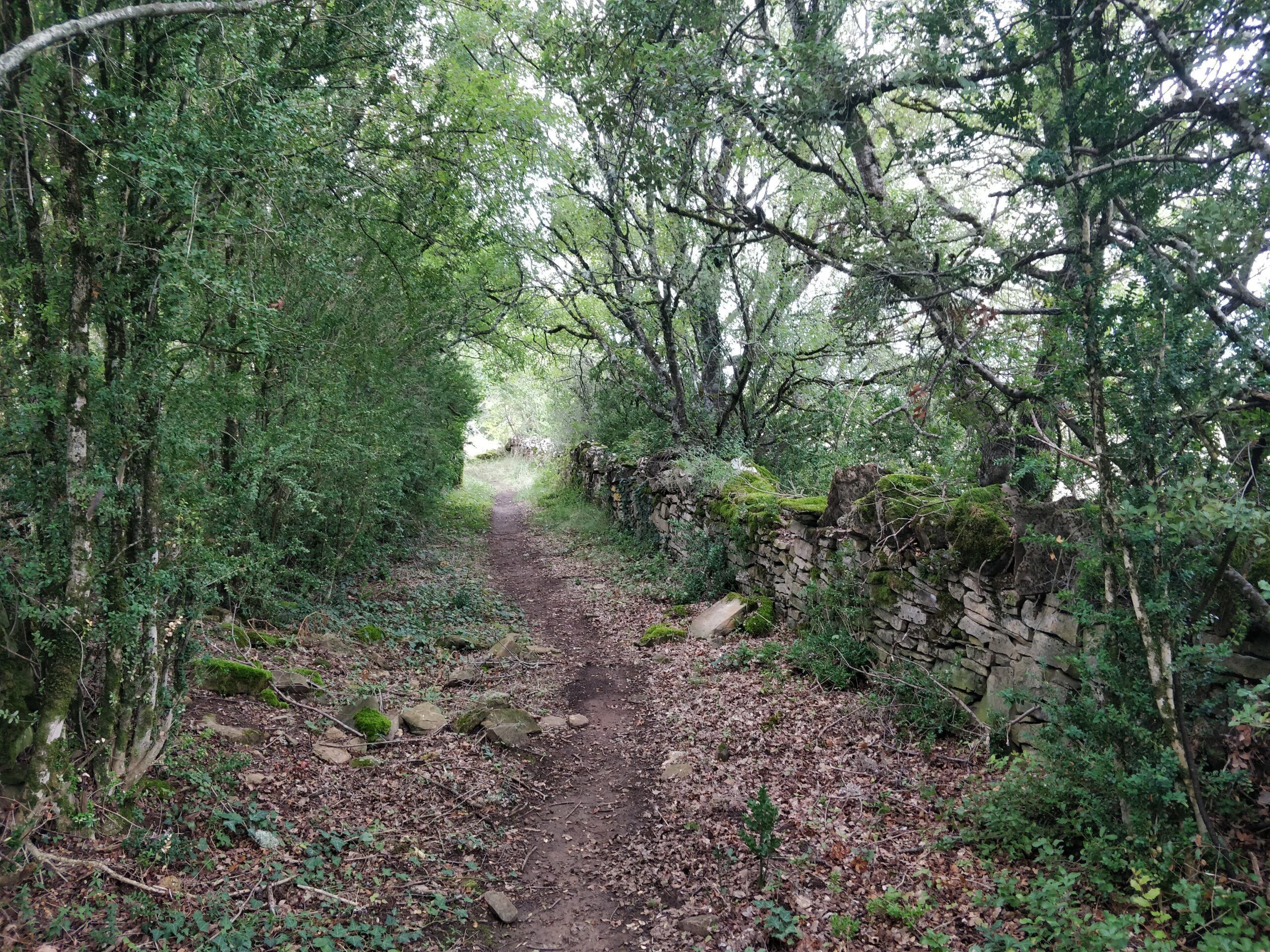 Ruesta y Ermita de San Juan Bautista desde Sigüés