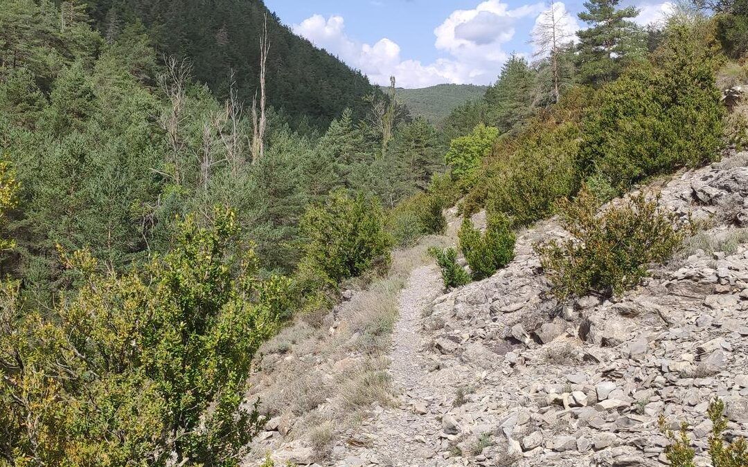 BTT Sigüés Castillo nuevo y Burgui por la cañada Sigüés por la Foz de Sigüés