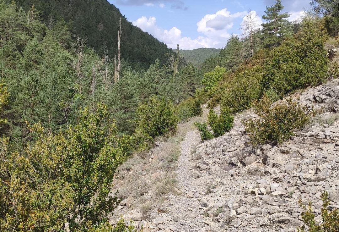 Sigüés Castillo nuevo Burgui por la cañada Sigües por el camino de la Foz de Sigües